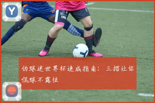 伪球迷世界杯速成指南：三招让你侃球不露怯