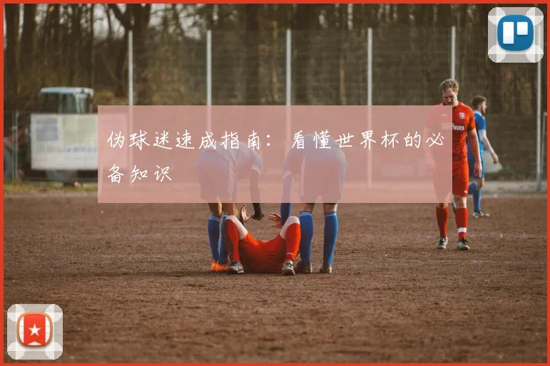 伪球迷速成指南：看懂世界杯的必备知识
