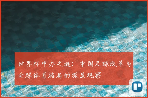 世界杯申办之谜：中国足球改革与全球体育格局的深度观察