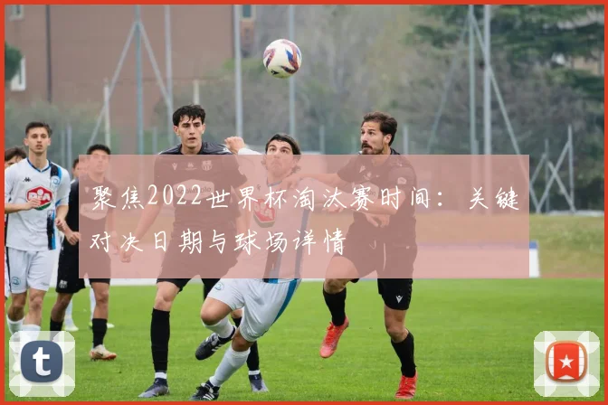 聚焦2022世界杯淘汰赛时间：关键对决日期与球场详情
