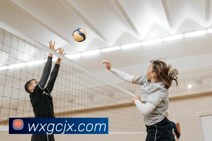 亚搏app注册官网服务体系